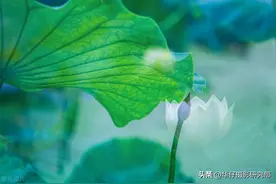 多重曝光摄影了解一下：14个双曝光摄影技巧，打造酷炫照片图片