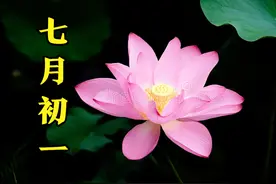 明日七月初一，牢记:1不说2不去3不做，尊重传统，寓意万事大吉图片