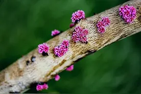 不知道还能不能再相见图片