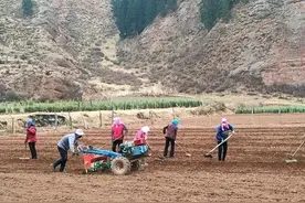 农村闲置土地：“4个原因+6个解决方式”？请村民知晓图片