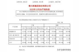 数读 | 赛力斯集团全年销量接近27万辆，AITO问界交付量突破7.5万辆图片