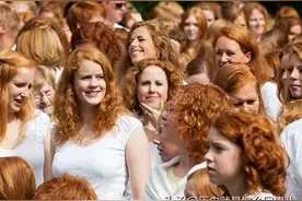 白人优越主义图片