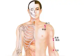 十四经络图谱，学习经络穴位速记收藏！图片