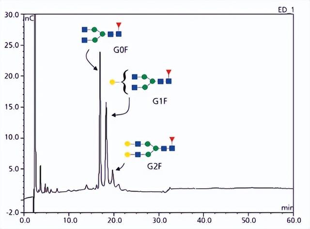 单克隆抗体的表征分析有哪些？
