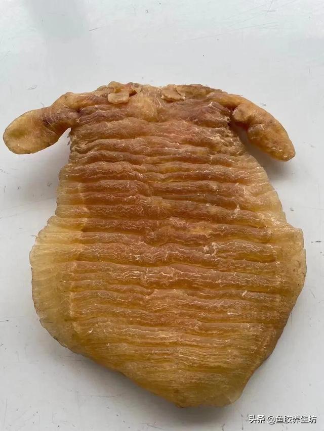 人工合成花胶 人工合成花胶可以吃吗