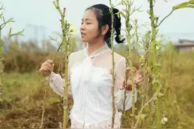 口才堪比李诞，柳州圆脸妹靠花式吹牛走红，年收入800万图片