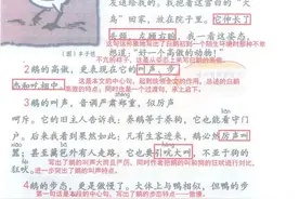 部编版语文四年级下册第15课《白鹅》同步微课+图文讲解图片