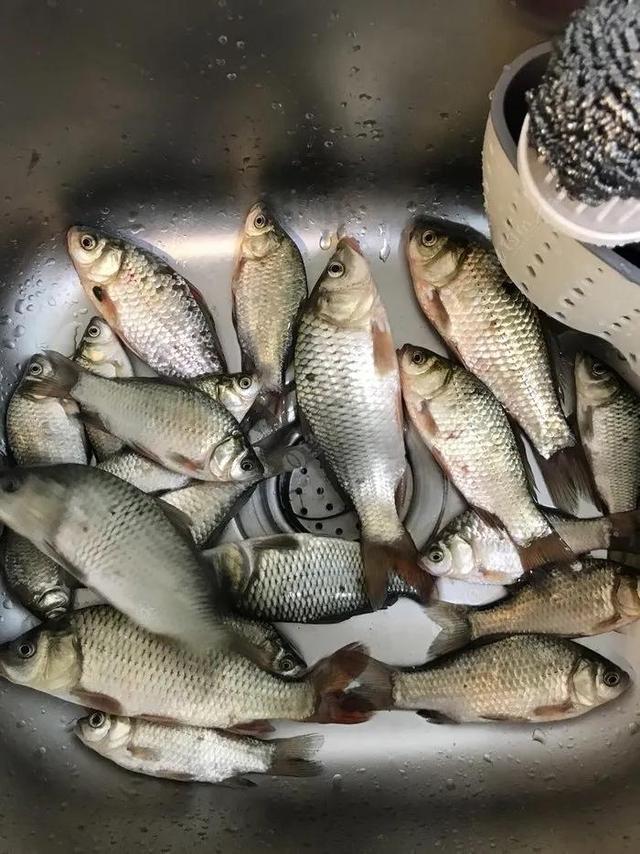 寤鸿灏戠粰瀛╁瓙鍚冭惀鍏诲搧锛屽鍚?绉嶉鐗╋紝渚垮疁鍙堣惀鍏伙紝甯稿悆灏戠敓鐥? onerror=