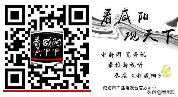 走进武功县金沙河超大型粮食综合加工基地|金沙河：小麦粒大能量 “变形”变出高质量