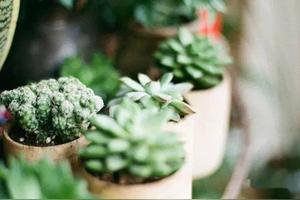 想让男人爱上你，你需要利用好男人的一个心理图