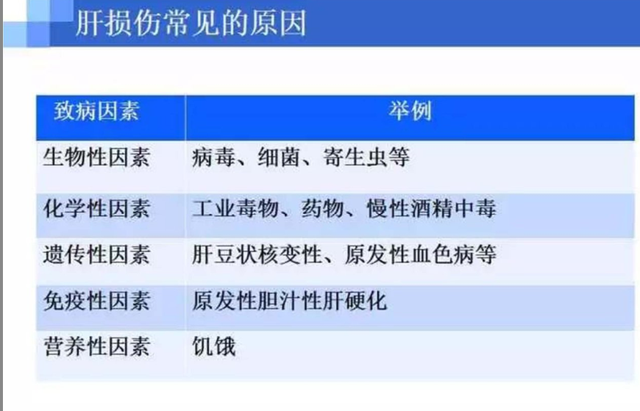 常见保肝药有什么不同？