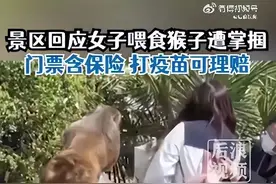 她被猴子打了，该咋办？图片