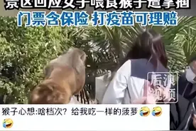 她被猴子打了，该咋办？图片