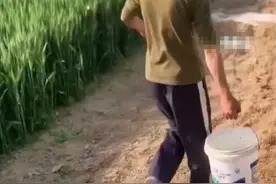 父亲去世，母亲改嫁，信阳少年辍学种地养活弟弟妹妹？当地政府回应图片
