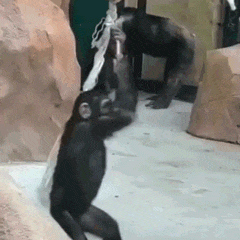 累了毁灭吧表情包