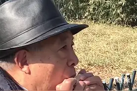 配合度拉满！#2位大爷公园里用口琴演奏军歌#图片