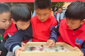 临湖祥园：探秘昆虫世界 感知科学魅力图片