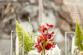 10月30日周日早安，只要今天比昨天好，这不就是希望吗？图片