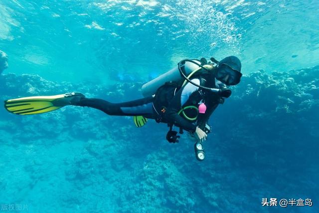 潜水员视角看《消失的她》:李木子困在深海观鲨笼里，还能自救吗