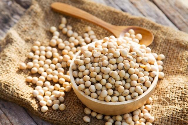 哪些食物属于优质蛋白质，你吃对了吗？