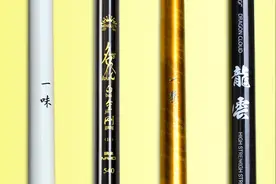 谈谈这些年我在钓鱼上踩过的坑（二）鱼竿篇图片