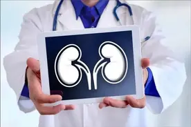 13 种食物有助于肾脏健康这些食物富含对肾脏健康最的所有营养素。图片