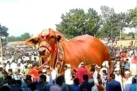 印度网友：印度是亚洲第一强国，中国50年都无法超越？图片