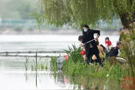四月的成都草长莺飞 清明在公园城市里踏青赏绿图片