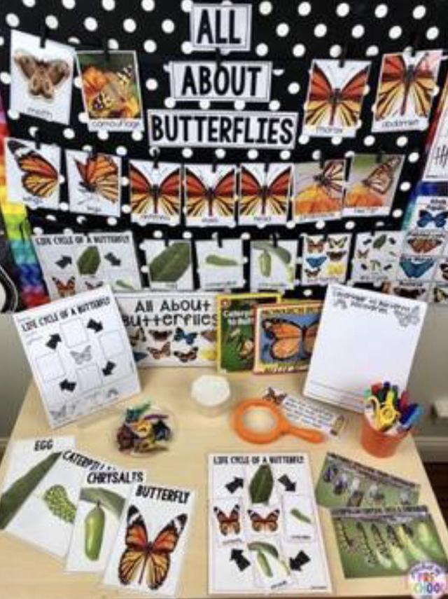 С��ѧ��̽��ϵ��֮���ں��������׻�زİ�