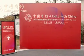 「2022中国有约」“歪果仁”眼中的千年古城：开启现代化新征程 海盐县数字化改革大有可为图片