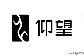 关注 | 比亚迪高端品牌“仰望”发布Logo，首款车型定价或超百万？图片
