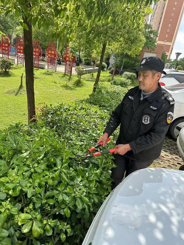 东湖新技术开发区豹澥街分类专班黄金堂社区开展清洁家园活动