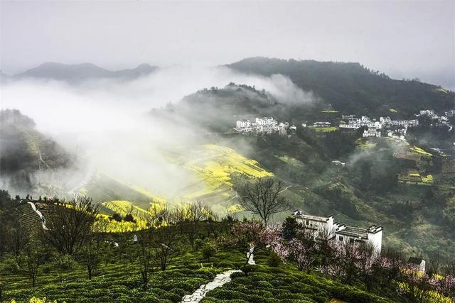 蓝眼泪、云海、星空、雾凇……首批15个“天气气候景观观赏地”公布,都是摄影人的最爱
