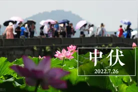 “中伏吃3宝，整年无病扰”，指哪3宝？3句俗语看懂，老传统别忘图片