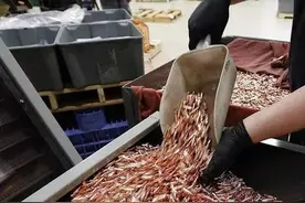 为什么世界上的大多数枪支口径都是5.56、7.62、12.7毫米的？图片