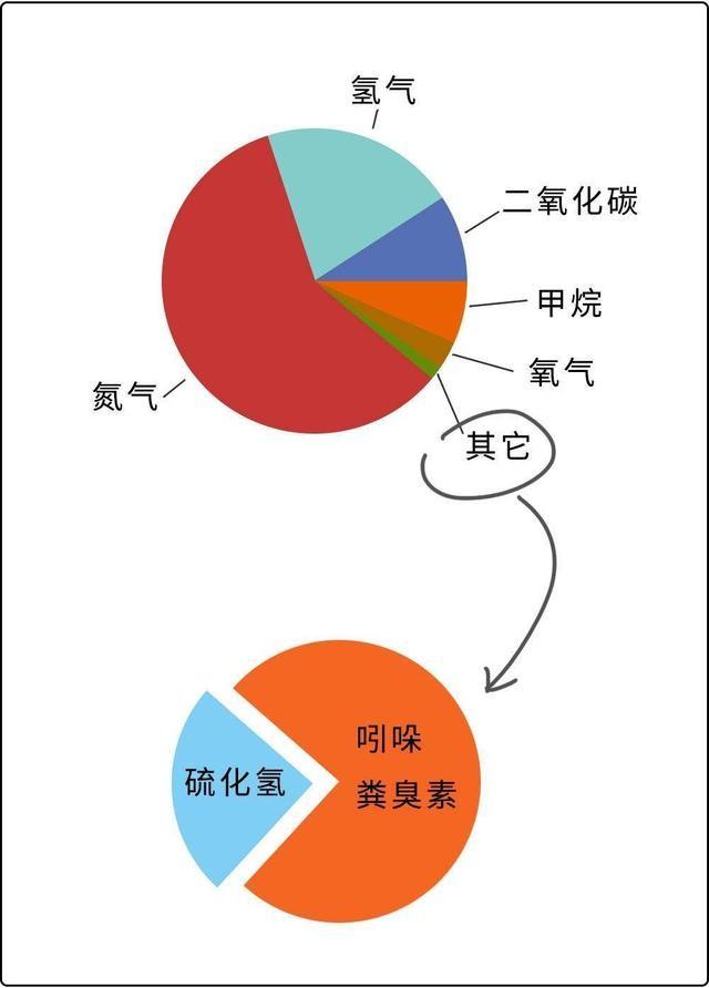 一个屁能把人熏昏？“臭鼬”为何是世界上最臭的动物？真辣眼睛