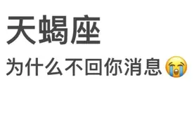 十二星座为什么不回你消息？下图片