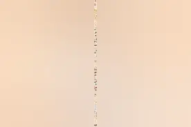 妈妈的留“影”图片