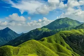 恃才矜己 易丧其身图片