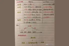 中级经济师证书含金量高吗？图片