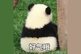 分享一些回怼的漂亮话术，看着就爽图片