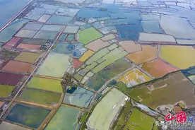 大地的调色盘就这样被打翻 雨后山西运城七彩盐湖色彩斑斓美不胜收图片