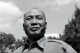 中原大败，轰动一时的查办汤恩伯案件是如何不了了之的？图片