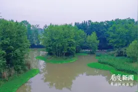 端午小长假逛湿地 城市“绿肺”享清凉图片