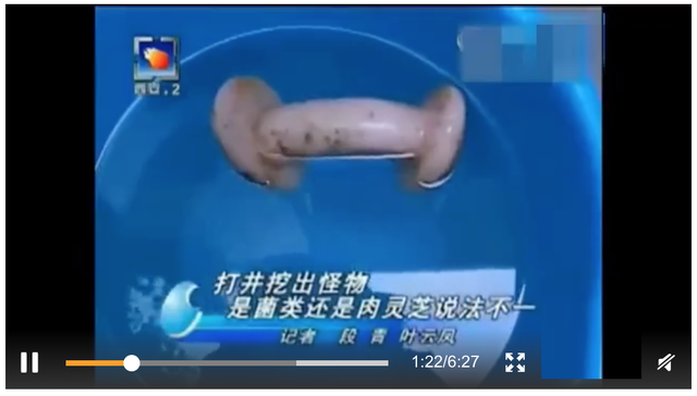 形成于4万年前、不是植物不是肉，价值千万的太岁究竟什么来头？