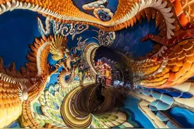 梦里梦到蛇，意味着什么？我们的答案和你想的一样吗？图片