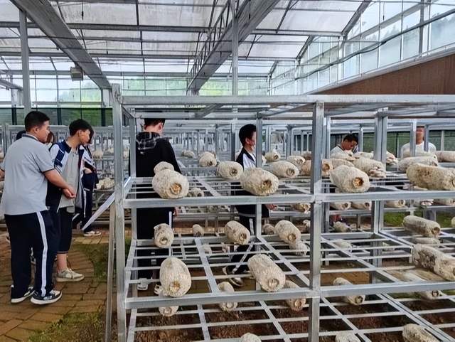 四川省民生研究会新媒体中心-官网