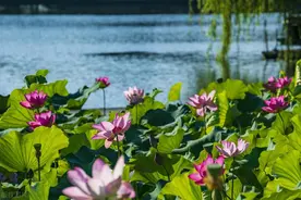 内心强大的人，往往有这4种表现图片