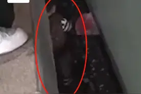 惊险！上海南站一孩童掉进站台缝隙图片