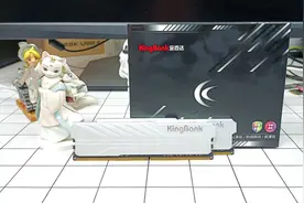 长鑫灭火器？长鑫颗粒真给国产内存长脸了！ 国产内存条32G只卖366图片